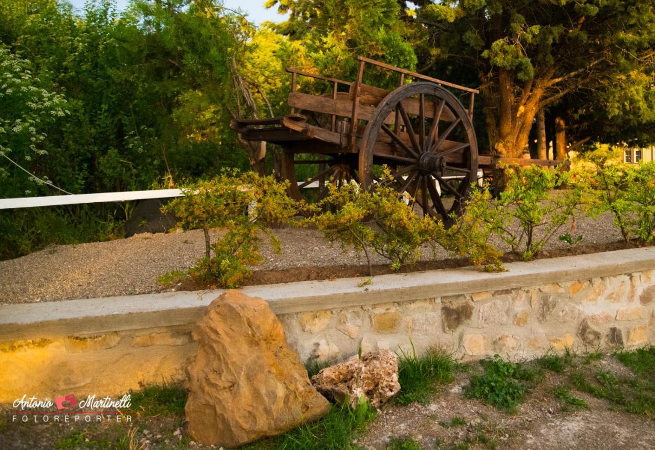 La Torre-1984 Bed and Breakfast Sarnelli Εξωτερικό φωτογραφία